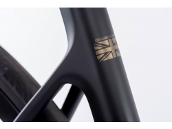 2025 Gold STC Ultegra Di2 Bike